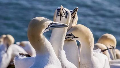 世界杯官方正版软件下载-U21国青热身取胜炉火未纯青 队员：默契程度待提升